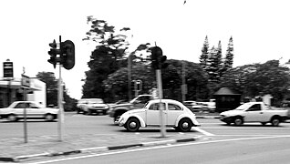 Beetle In Transit (3275846695).jpg