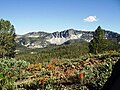 Trinity Mountains in Boise National Forest