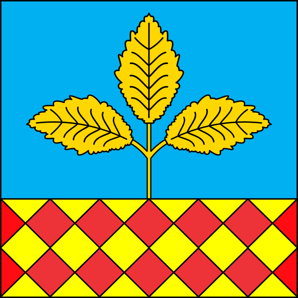 File:Flag of Berestechko.svg