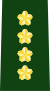 General