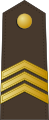 Seržants (Latvian Land Forces)[55]