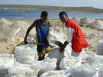 Дјечаци на берби соли у Африци