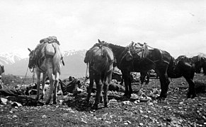 Sosta a Erseke. 1941 - panoramio.jpg