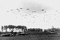 Parachuteaanval van de 82e Luchtlandingsdivisie nabij Grave (Nederland) tijdens Operatie Market Garden in 1944