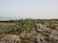 Sarygamysh Lake, from Uzbekistan