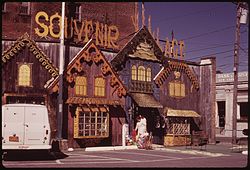 Tourist souvenir shop in Old Forge, 1973