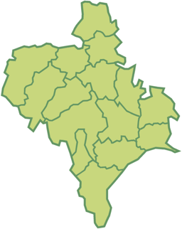 Ivano-Frankivska provinco