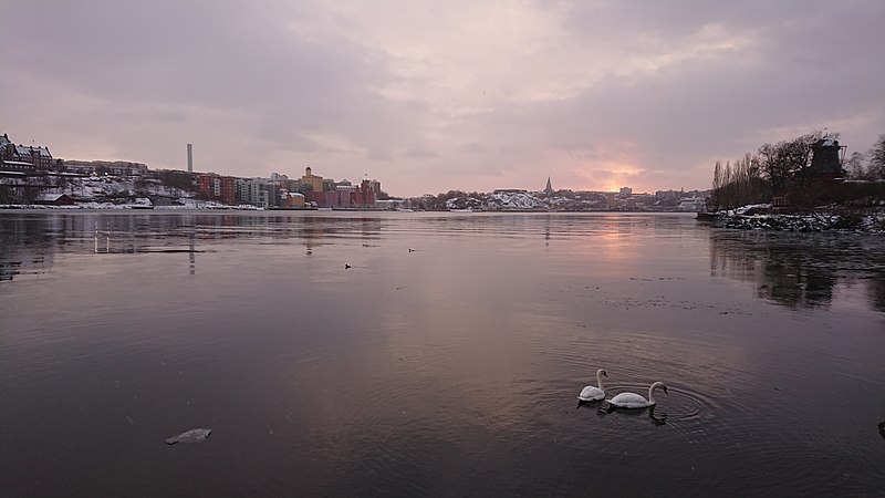 File:Winter in Stockholm from Waldermarsudde Djurgården with swans.jpg