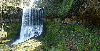 Middle North Falls in Silver Falls State Park