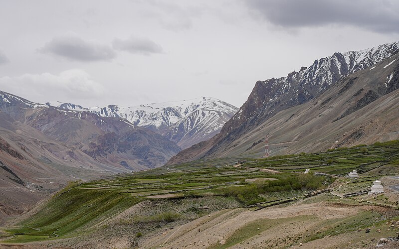 File:North Fields Testa Lungnak Zanskar Jun24 A7CR 01140.jpg