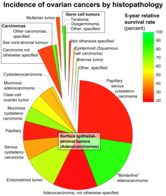 Incidence of ovarian cancers by histopathology