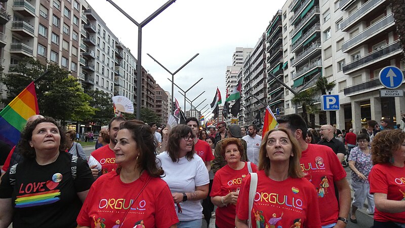 File:PSOE Orgullo Logroño LGBT 2024 - 2.jpg