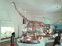 Réplica de esqueleto de titanossauro (Maxakalisaurus topai).