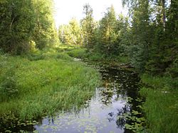 The Verkhnyaya Kizma River in Kharovsky District