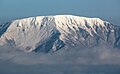 霊仙山から望む雲海に浮かぶ伊吹山の山頂部