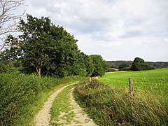 Neviges-Hardenberger Hügelland 08.jpg