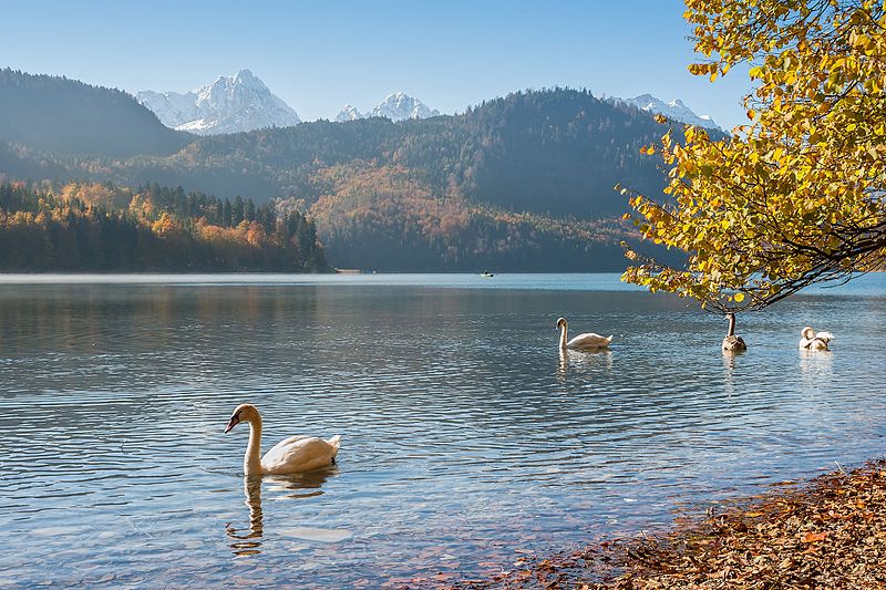 File:Alpsee 01.jpg