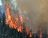 Flames running up slope during B&B Complex Fires on 21 August 2003