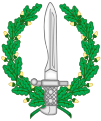 Emblem of Special operations forces