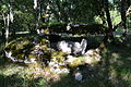 Dolmen de Gabaudet n°1 entrée