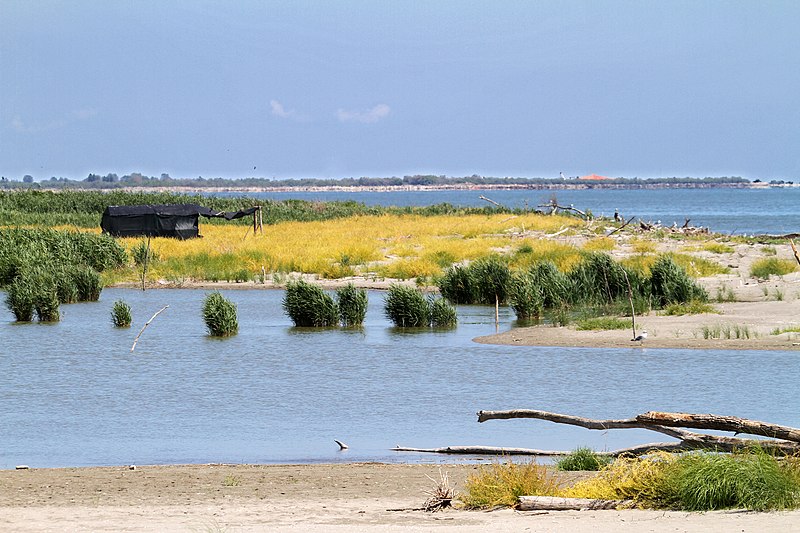 File:Lagune tra Po di Goro e Po di Gnocca - panoramio (3).jpg