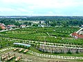 Vue sur le labyrinthe végétal