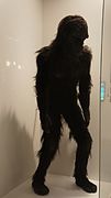 Stanley Kubrick The Exhibition - LACMA - 2001 A Space Odyssey - Ape costume (8998540155).jpg