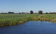 tussen Meerkerk en Ameide, sloot in polderlandschap