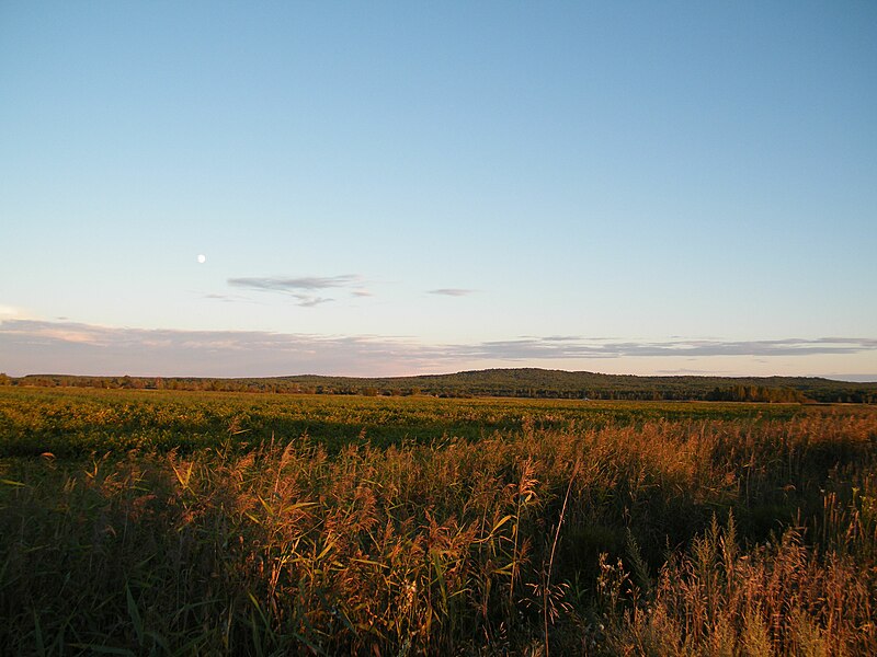 File:Окрестности села Лесное Хабаровский край.JPG