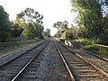 Looking north, August 2008