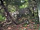 The Platform on the Piercefield Walks