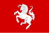 Bandera de Twente