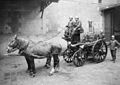 1900 ~ The Durenne & Krebs fire-fighting steam pump hitched to a horse-drawn carriage.