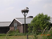 Zegveld Ooievaarsdorp.JPG