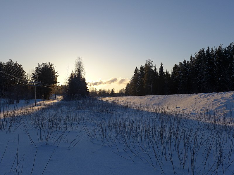 File:Возле железной дороги - panoramio (1).jpg