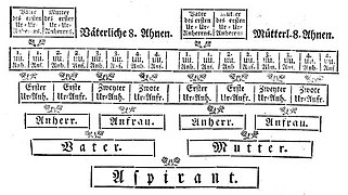 Adelsprobe beim Kurpf. Georgsorden 1784.jpg