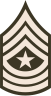 E-9 Sergeant Major (SGM)