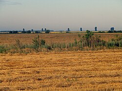 Landscape in Călărași County