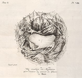 "Vue circulaire des montagnes qu'on découvre du sommet du Glacier de Buet", Horace-Benedict de Saussure[9]