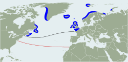 Área de reproducción (azul), la extensión sur de la gama de verano (negro), y la extensión sur de la gama de invierno (rojo).