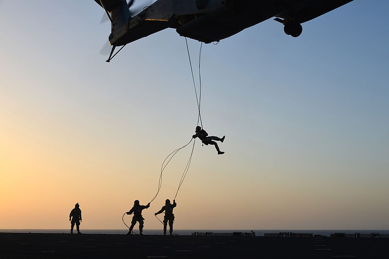 File:BLT 1-6 rappels, fast ropes at sea 140623-M-ZZ999-003.jpg