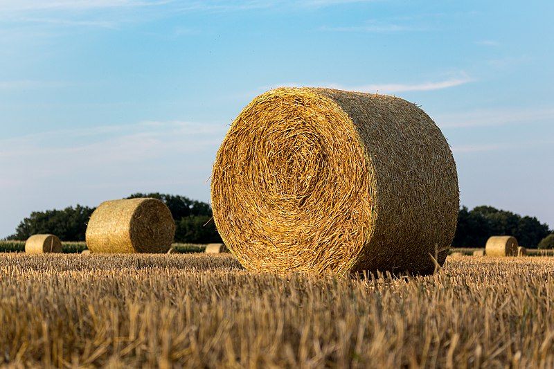 File:Dülmen, Dernekamp, Strohballen -- 2015 -- 7838.jpg