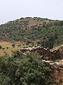 Maison abandonnée, au loin les vestiges de Khirbet Abu Esh-Sheba.