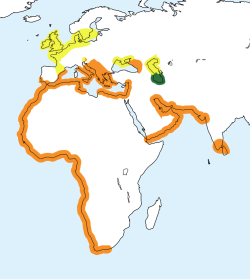 Distribución de Thalasseus sandvicensis.