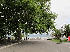 Torre del lago, lago 01.JPG