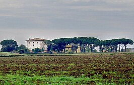 Torre della Trappola, Principina a Mare