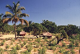 MZ Inhambane 0201 003 (17070510120).jpg