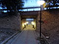 Pathway along the coast