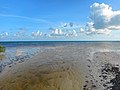 Tidal inlet at low tide