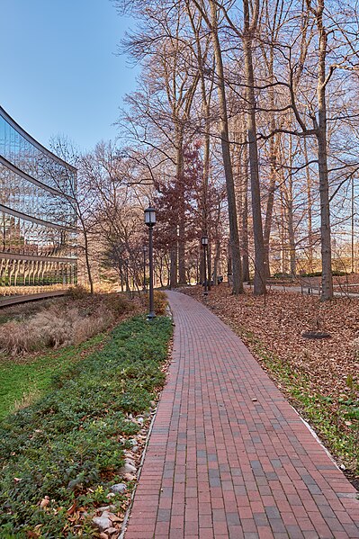 File:Walkway by the Bascom Undergraduate Teaching Labs - 53493085736.jpg